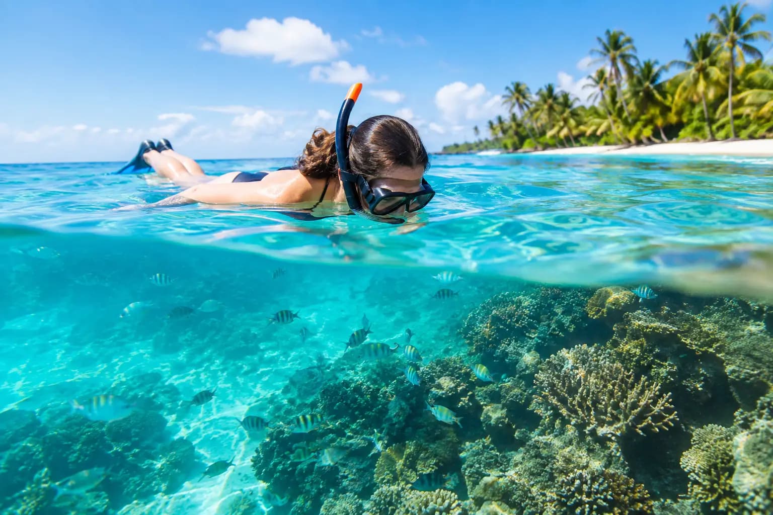 8 Best Dominican Republic Snorkeling Spots